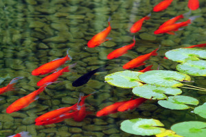 万众瞩目！暗区主播赛，他们是游戏里的真正明星！